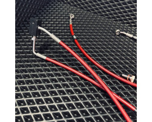 Kawasaki Z900 ABS 2025